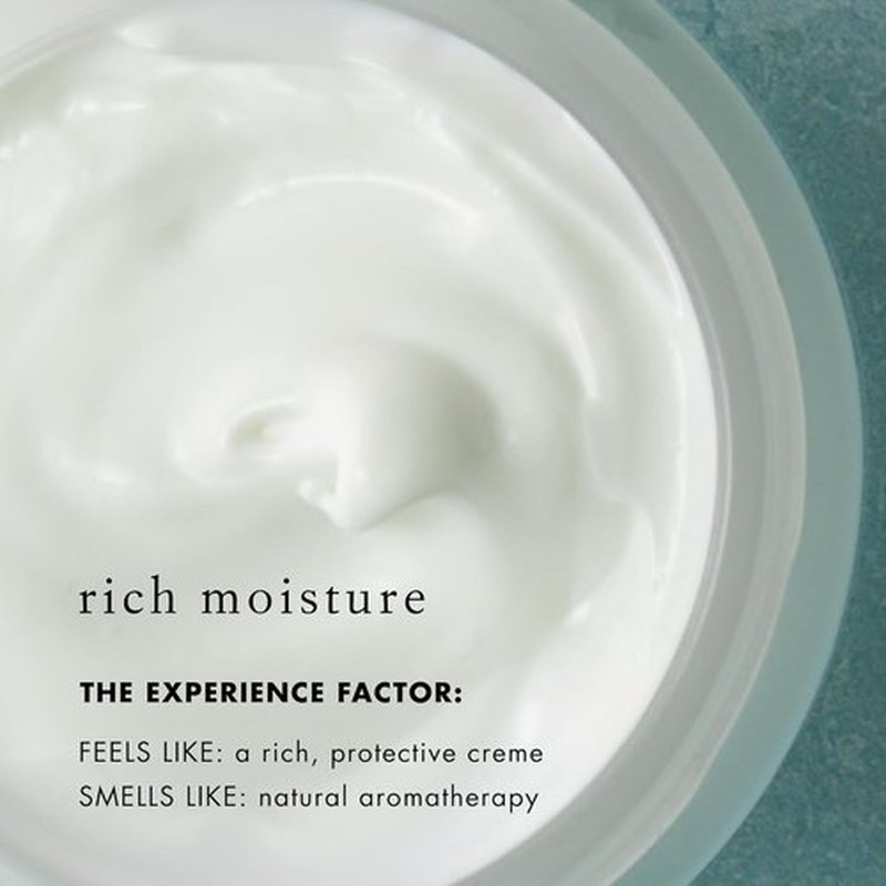 Bioelements SPF 50 FaceScreen | Antioxidant Broad-Spectrum Sunscreen Moisturizer - 2.3 oz - Vegan & Cruelty-Free