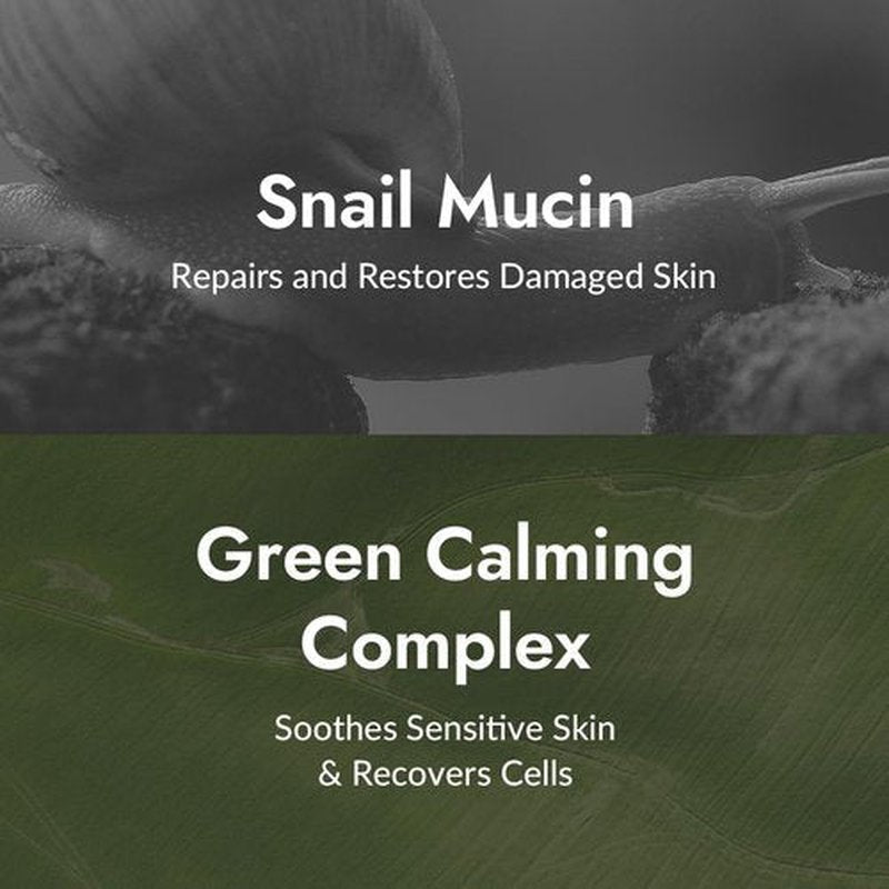 MIZON All In One Snail Repair Cream - Snail Mucin & Hyaluronic Acid for Wrinkle Recovery | 2.53 fl oz