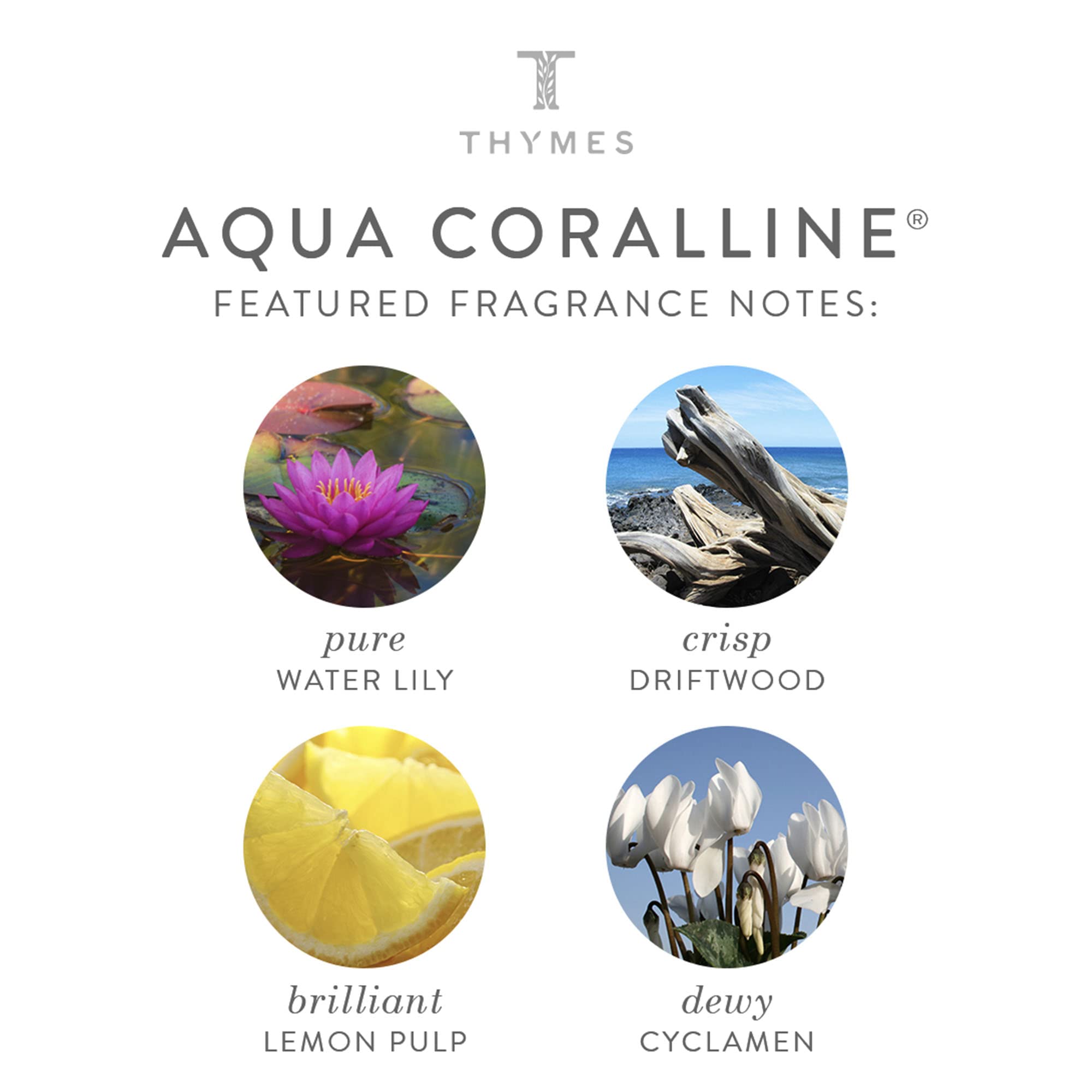 Thymes Large Hand Wash - Aqua Coralline - 15 Fl Oz