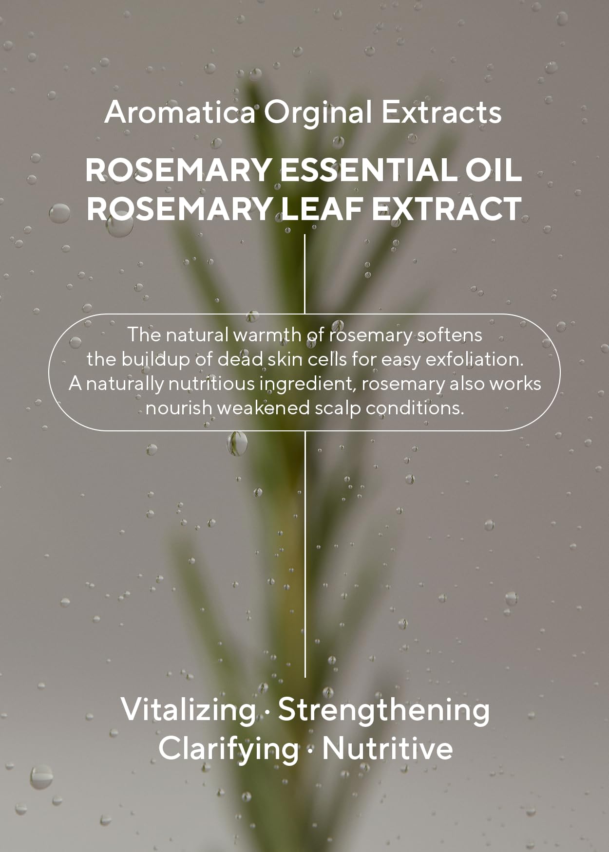AROMATICA Rosemary 3-in-1 Hair Treatment – Nourishing & Moisturizing Hair Mask with Rosemary & Betaine, Cream Adds Shine & Softness, Deep Conditioner for Dry & Damaged Hair, Korean Hair Care 5.4 fl.oz