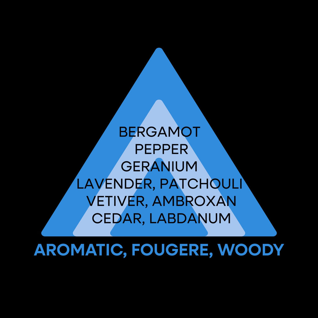 Perfumer's Choice No.11 Leo - Aromatic Woody Cologne for Men 2.8 fl oz