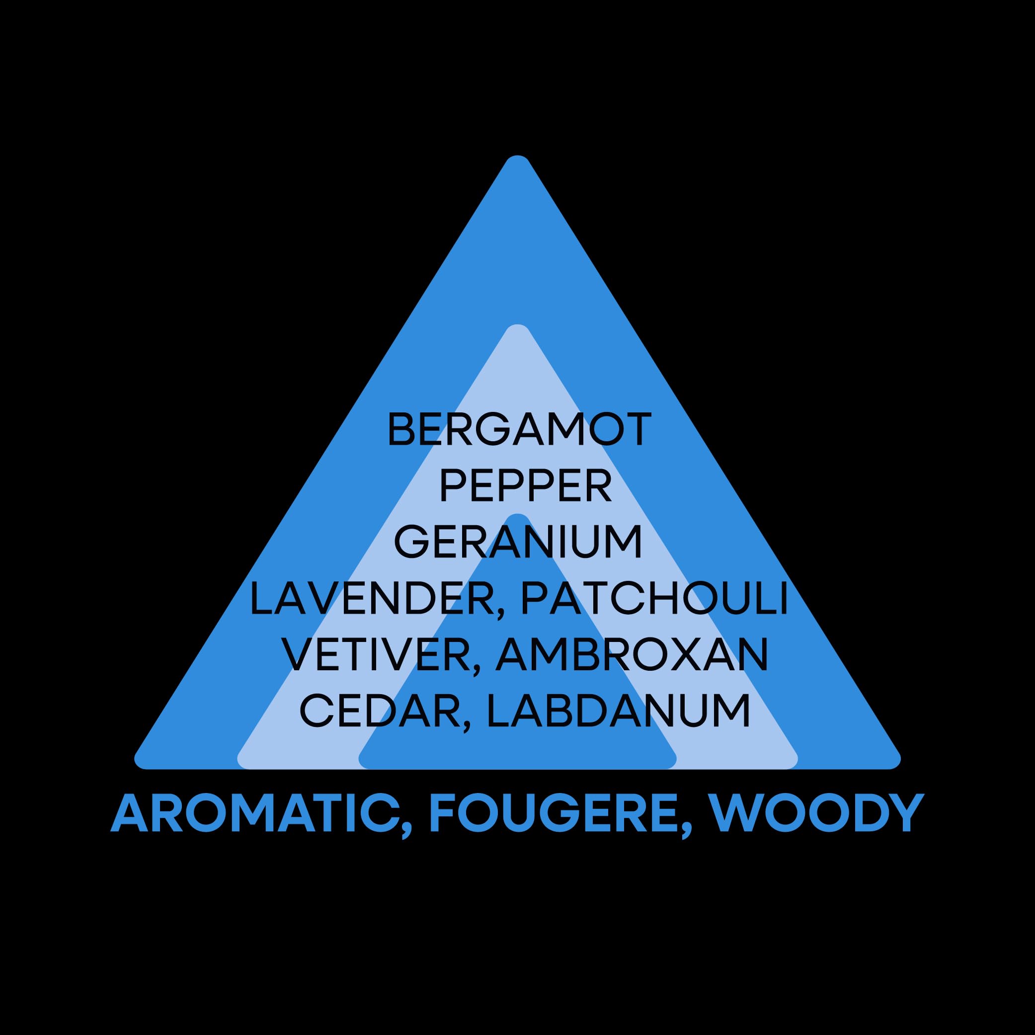 Perfumer's Choice No.11 Leo - Aromatic Woody Cologne for Men 2.8 fl oz