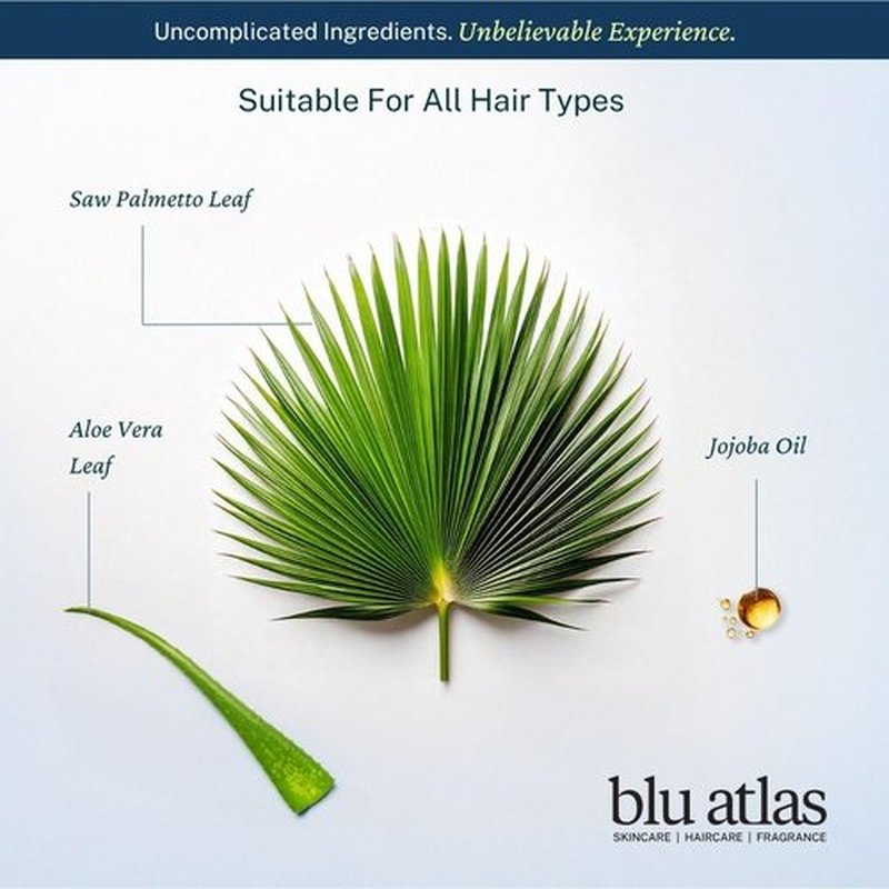 Blu Atlas Men's Natural Shampoo - Organic, Sulfate-Free & Paraben-Free - Deep Cleansing & Hydrating - Classic Bergamot, Sage & Patchouli Scent - 8 oz