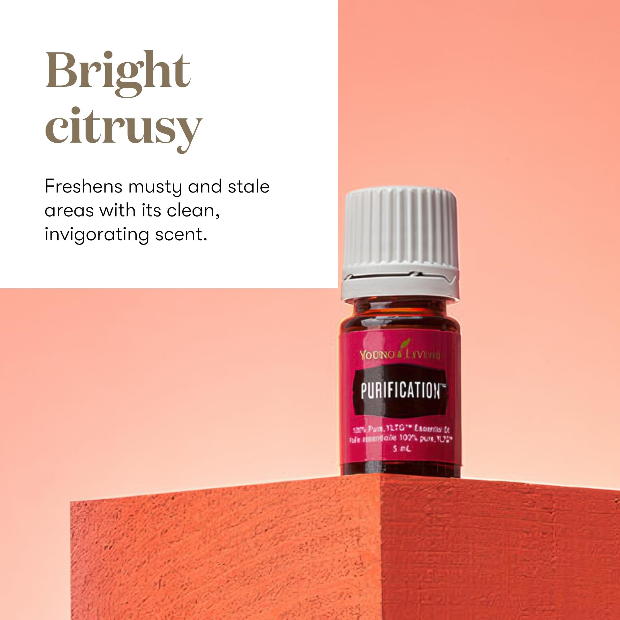 Purification Essential Oils 5ml by Young Living Essential Oils