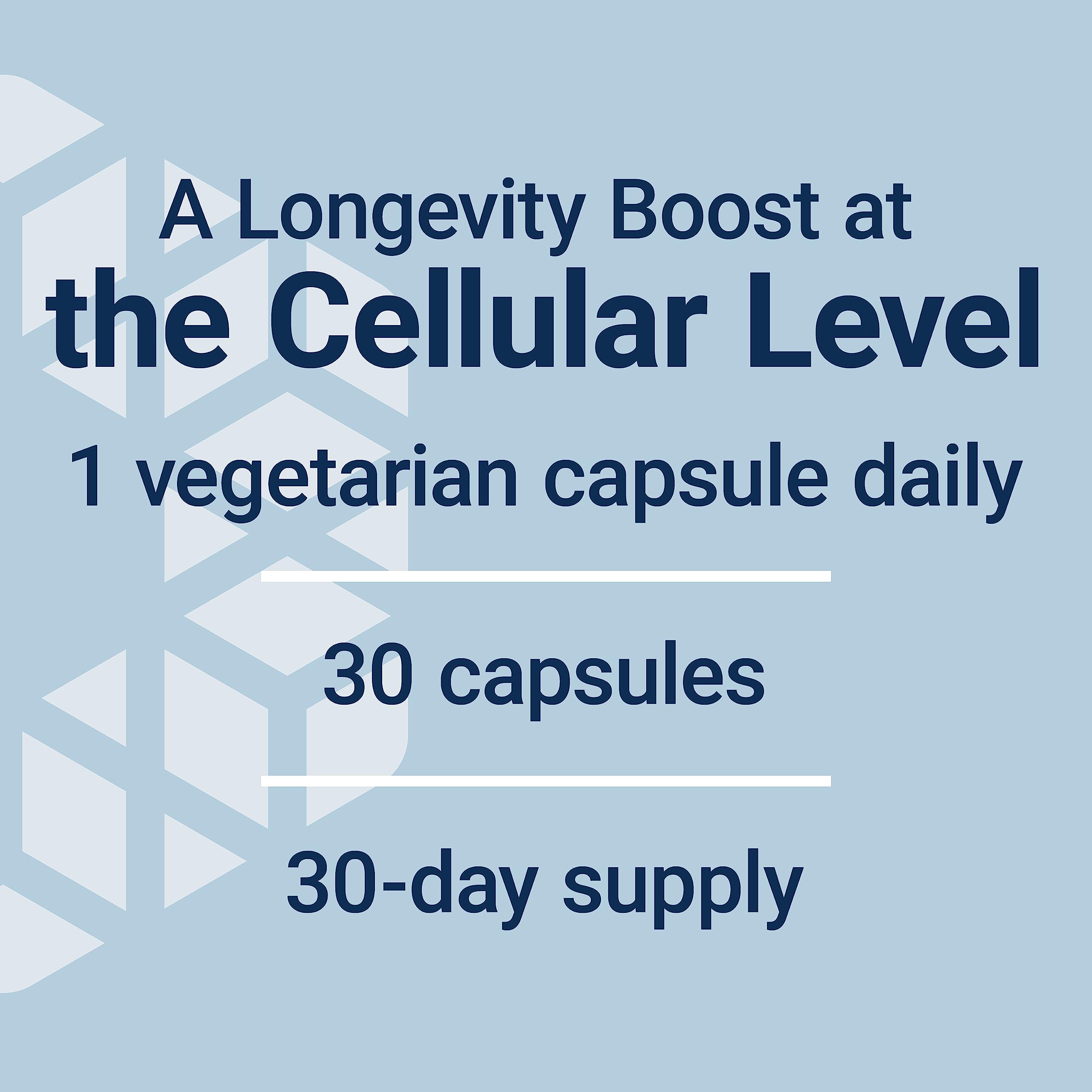 Life Extension Bio-Fisetin, Fisetin, galactomannans from Fenugreek Seed, Cellular Health, Cognitive Health, Longevity, Gluten-Free, Vegetarian, Non-GMO, 30 Vegetarian Capsules