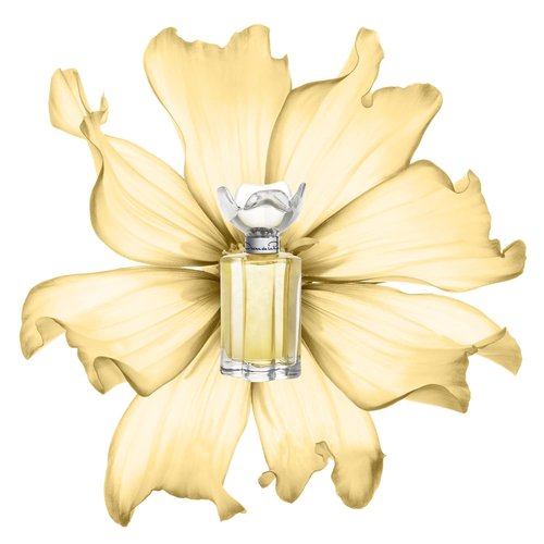 Oscar de la Renta Esprit D'Oscar - Elegant Fragrance for Women | 3.4 oz Eau de Parfum