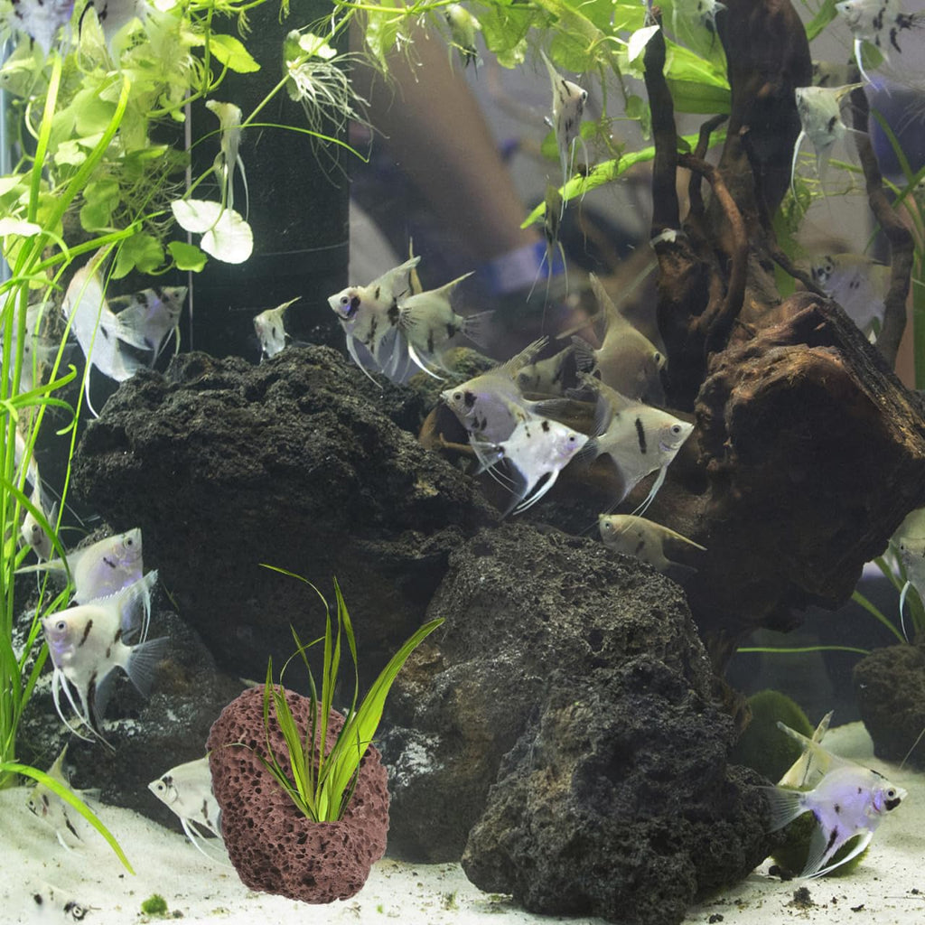Housoutil 6Pcs Aquarium Volcanic Rocks Ornaments 3.93X2.75X1.57In Fish Tank Decorative Lava Stones Plant Fixers for Aquatic Plant Stability and Small Fish Shelter