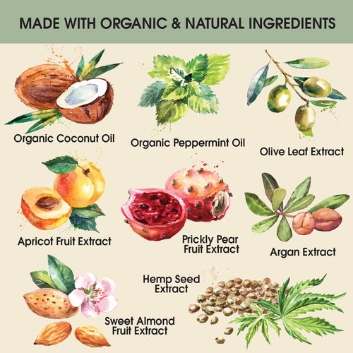 Ginger Lily Farms Botanicals Pure Castile Liquid Soap Refill, Peppermint Scent, 1 Gallon, All-Purpose Cleaner for Body, Face, Hair, Dishes, Laundry & Pets, Non-GMO, 100% Vegan & Cruelty-Free