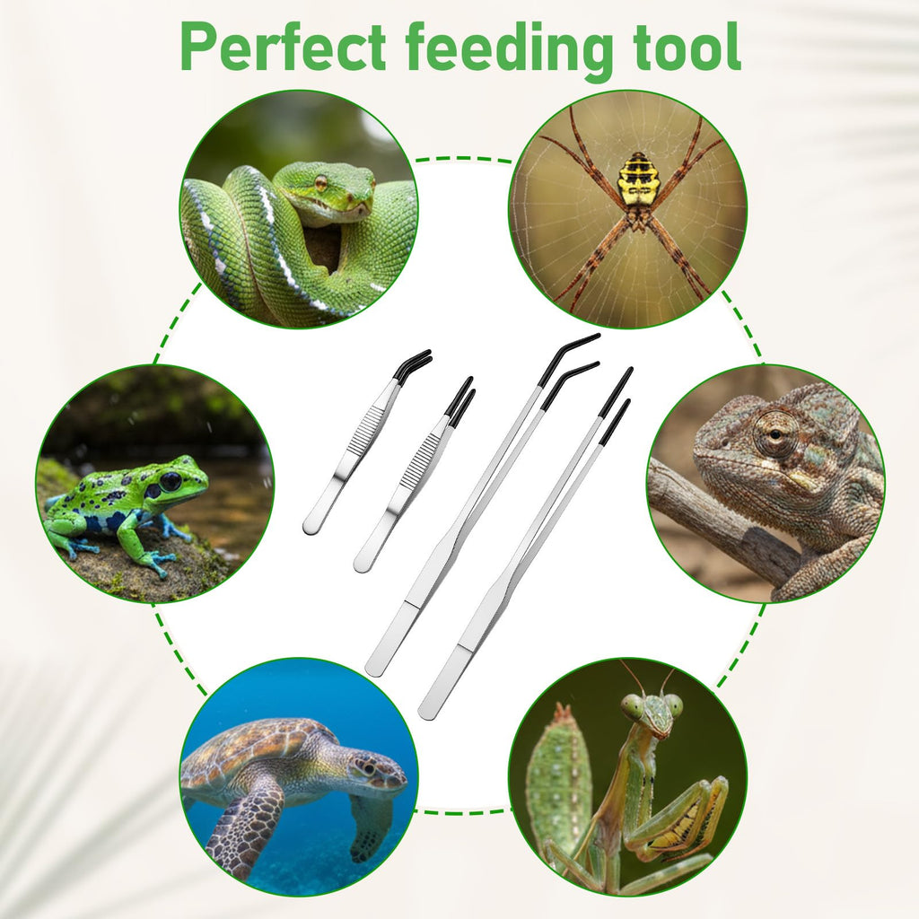 WJIAAA 4PCS Reptile Feeding Tongs Long Tweezers for Aquarium Crafts Tank