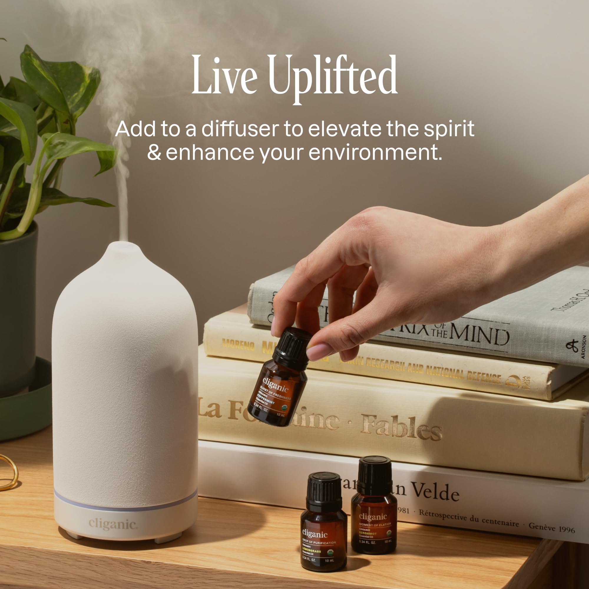 Cliganic Organic Rosemary Essential Oil, 1oz - 100% Pure Natural Undiluted, for Aromatherapy | Non-GMO Verified