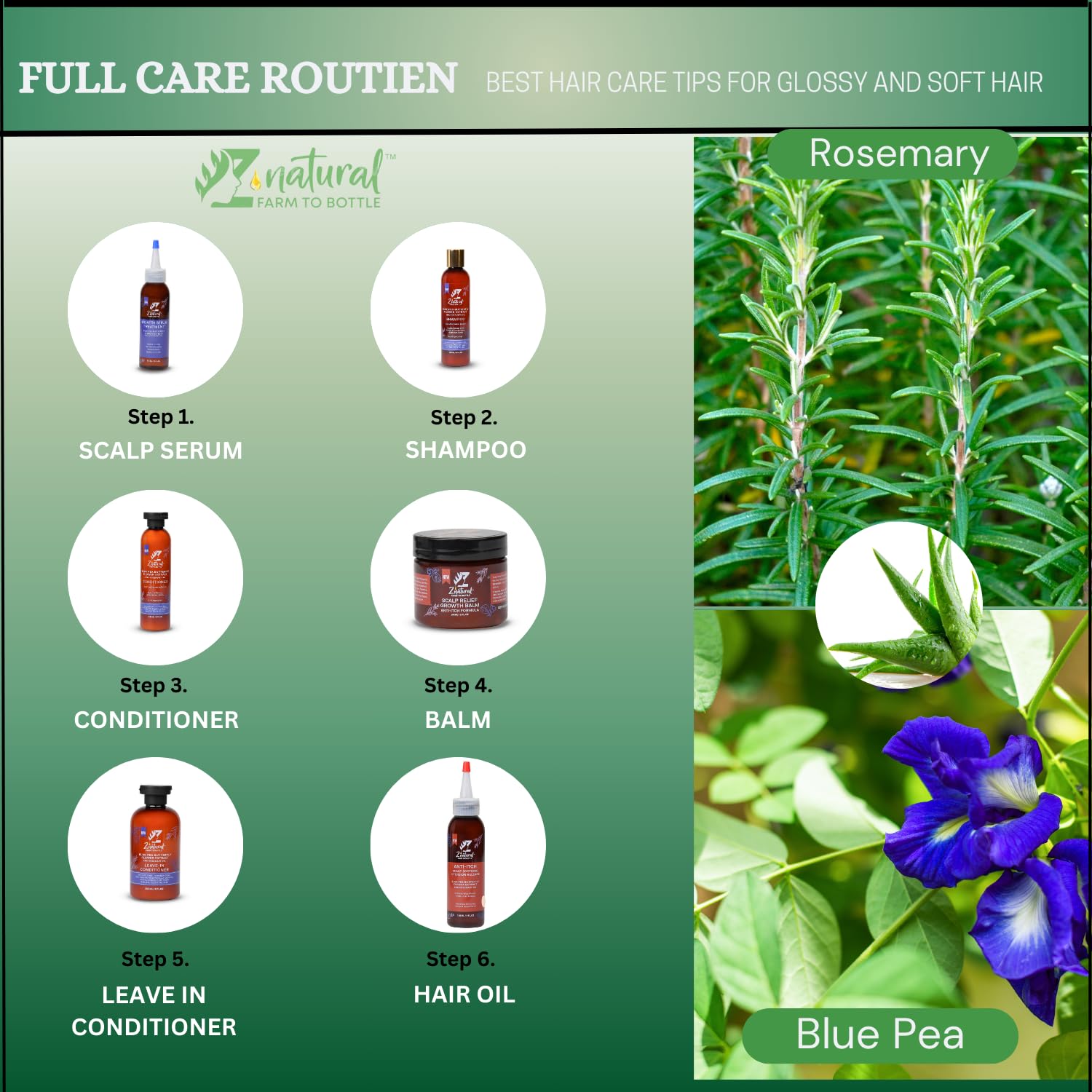 Z’Natural Leave-In Conditioner for Curly Hair - Deep Moisture & Detangling - Natural Blue Pea, Aloe Vera & Argan Oil - Sulfate & Paraben Free - 236ml