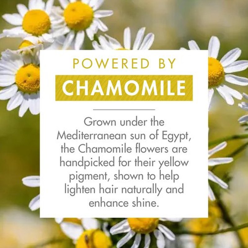 Klorane Brightening Shampoo with Chamomile - Enhance Highlights & Brighten Blonde Hair - Vegan Formula - 13.5 fl. oz.