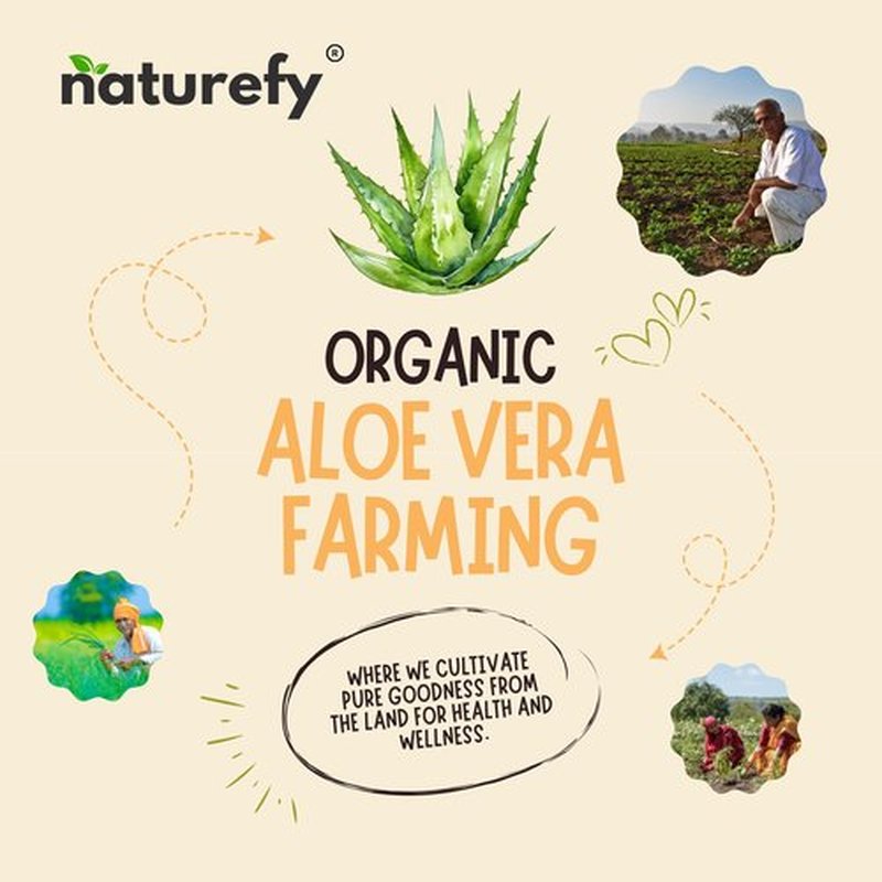 Naturefy Aloe Vera Gel | 100% Pure & Organic | Farm Fresh Aloe Vera Pulp Extract with Jojoba Oil, Glycerine & Vitamin E | Hydrating, Soothing & Skin Repair Gel for Face, Hair & Body | 10.14 fl.oz.