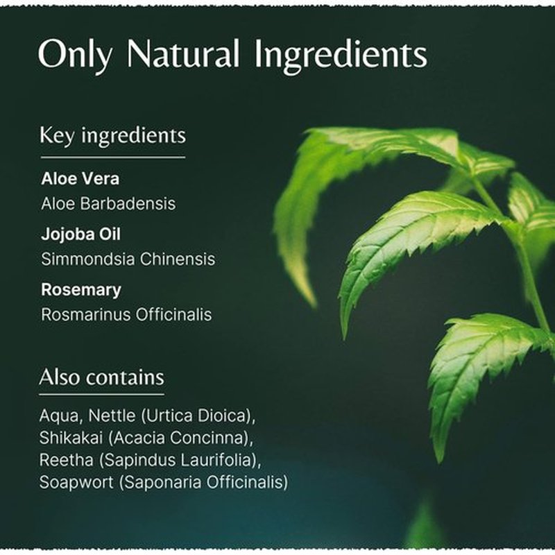 Aloe Vera Jojoba Shampoo - Organic Aloe Vera & Rosemary Infusion | 200ml Natural Hair Care