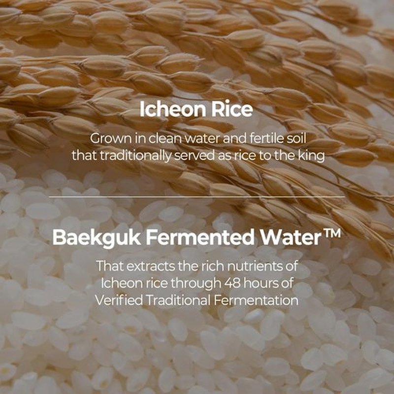 SKINFOOD Rice Daily Sheet Mask - 5-Minute Firming & Nourishing Hydration for Smooth Glass Skin | Bulk Pack (30 Masks)