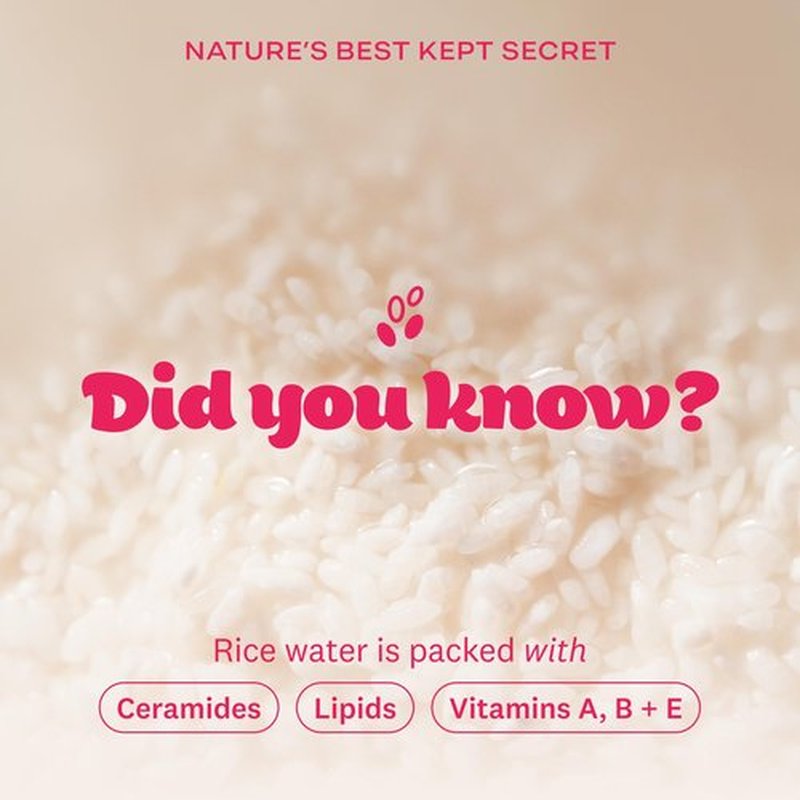 The Face Shop Rice Water Bright Vegan Cream - Instant Moisturization Quick-Absorbing Formula - Vegan, Brightening - Rice Water, Niacinamide, Hyaluronic Acid - Moisturizer Face Cream - Korean Skin Care