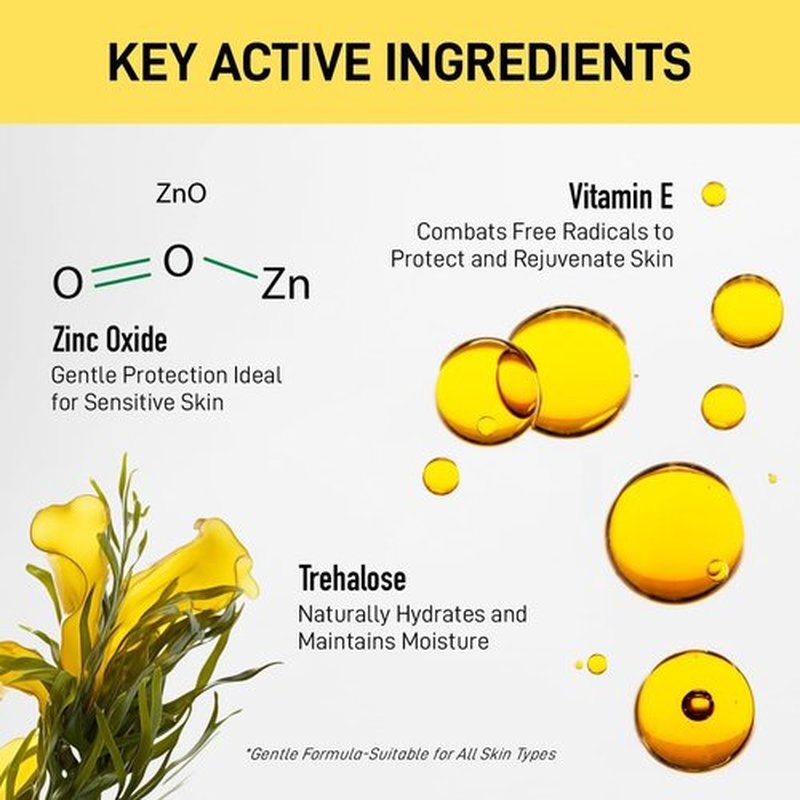 ENASKIN NATURALS 4-in-1 Tinted Moisturizer with SPF 50, Mineral Sunscreen & Primer with Zinc Oxide, Lightweight Skin Tint for Glowy Finish & Even Complexion, Universal Sheer Tint, 1.7 fl oz