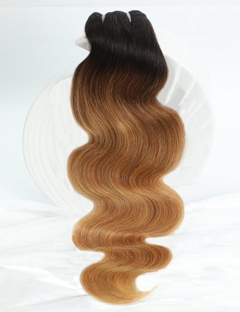 Chikamlty Ombre Bundles Human Hair, 16A Raw Indian Hair Bundles Body Wave, 14 Inch Colored Honey Blonde 1B27 Ombre Human Hair Bundles, 2 Years Service Life, Keep Texture Silky Soft Tangle-Free