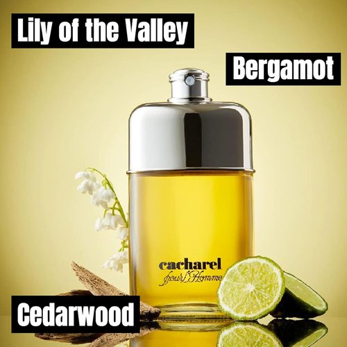Cacharel Pour L'Homme Cologne - Woody, Spicy & Floral Fragrance with Bergamot & Cedar Wood | 3.4 Fl Oz