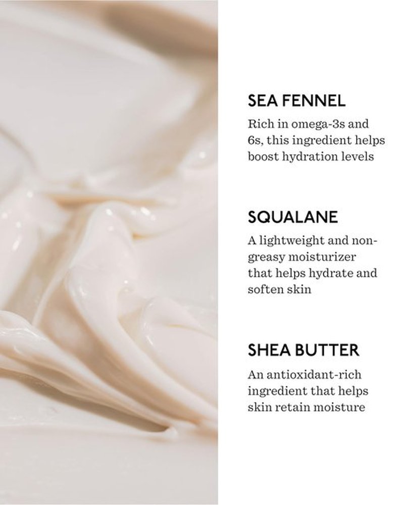 Fount Society Body Butter - 8 fl oz Nutrient-Dense Hydrating Body Butter with Sea Fennel & Shea Butter - Lightweight, Fast-Absorbing, Fragrance-Free - Vegan & Cruelty-Free