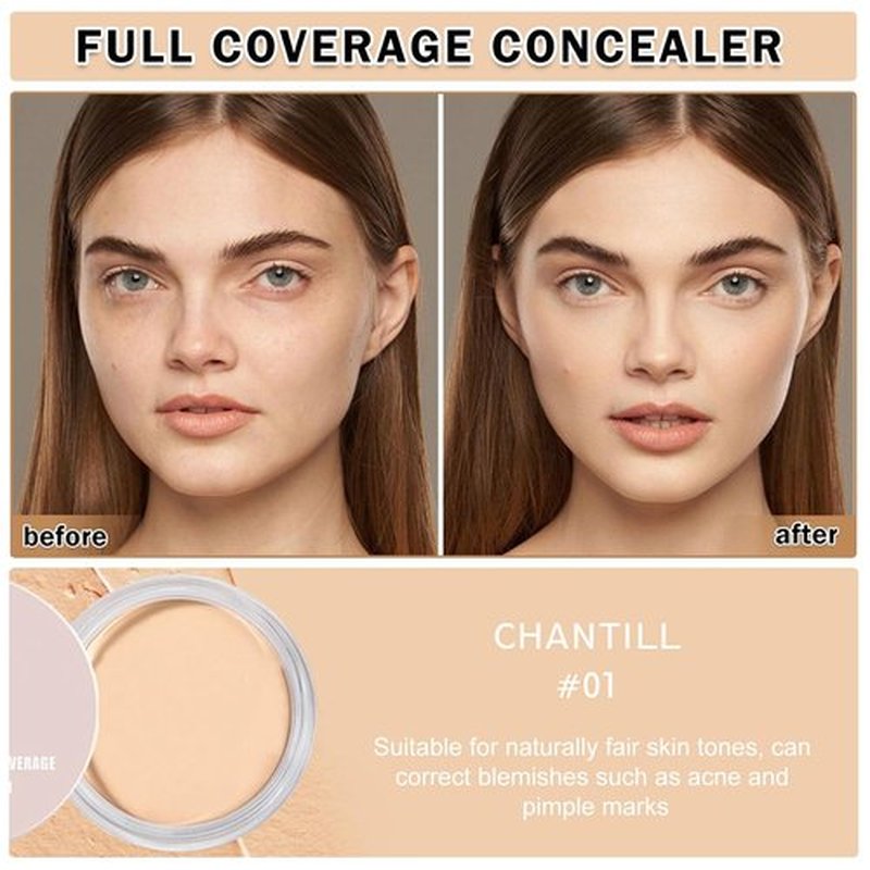 Regine Switzerland Under Eye Concealer - Dark Circle Corrector & Brightener | Full Coverage (01 Chantill)