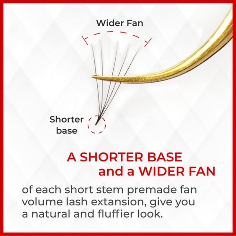 THE LASH SUPPLY 120 Fans, 5D Premade Fan Eyelash Extensions, C/D Curl, 8-15mm Length, 0.07 Thickness, 12 Lines, Volume Lash Extensions, Natural and Long-lasting Curl
