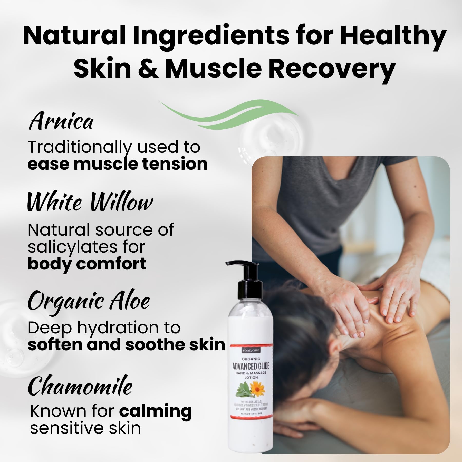 ibodycare Advanced Glide Massage Lotion with Arnica and Sage Professional Massage Cream for Muscle Relief Hydrating Hand and Body Lotion 8 oz (8 Oz)