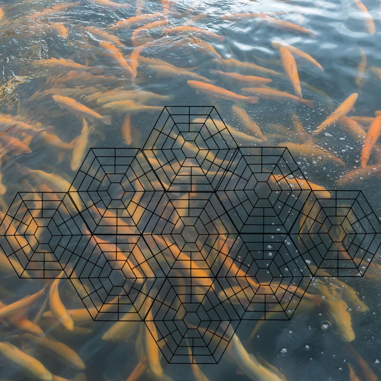 Housoutil Pond Netting Floating Guard, 30PCS Plastics Guard Net Protect Fish Koi, Splicing Web Hexagonal Accessories for Pond Fish Floating, Mesh Cover Resist Racoons Cats Crows Seabird