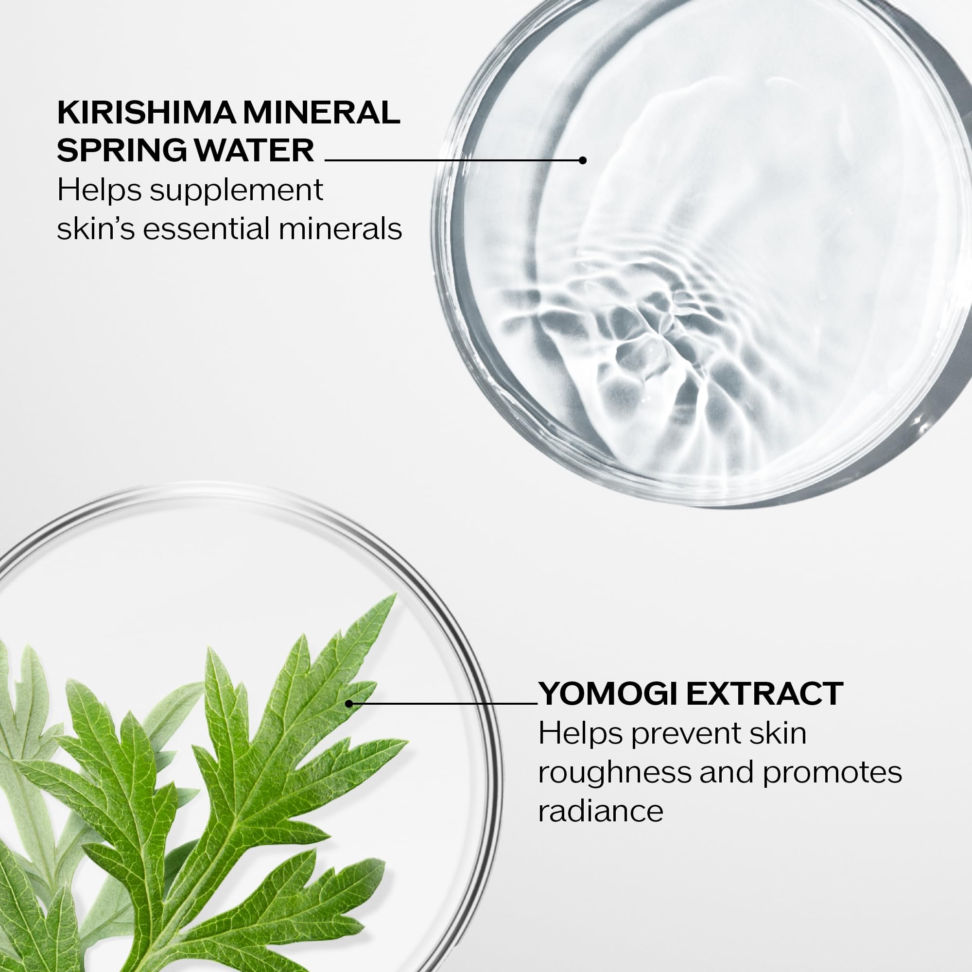 Shiseido Treatment Softener - 300 mL - Balances & Hydrates for Smooth, Refined Skin - for Normal & Combination to Oily Skin