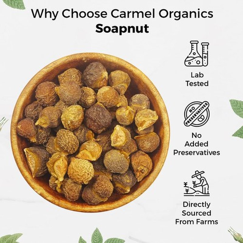 CARMEL ORGANICS Soapnut/Reetha Whole 12 Ounce | Pure Reetha Pods | Natural Hair Cleanser & Conditioner | Chemical-Free & Eco-Friendly, No Added Preservatives