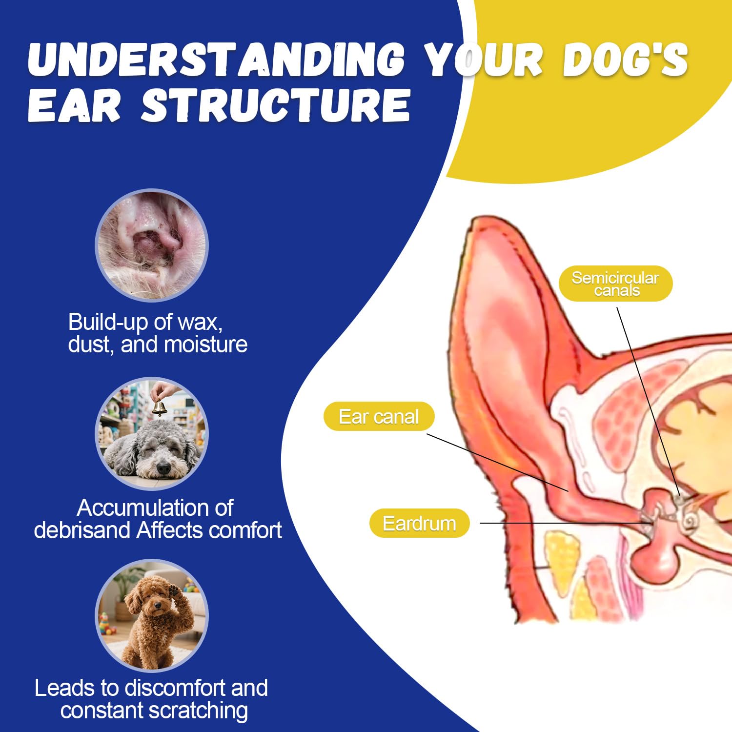 Ninibabie Dog Ear Powder for Hair Removal – Grooming Grip Powder for Poodles & Doodles, Grooming Aid for Pet Ear Cleaning