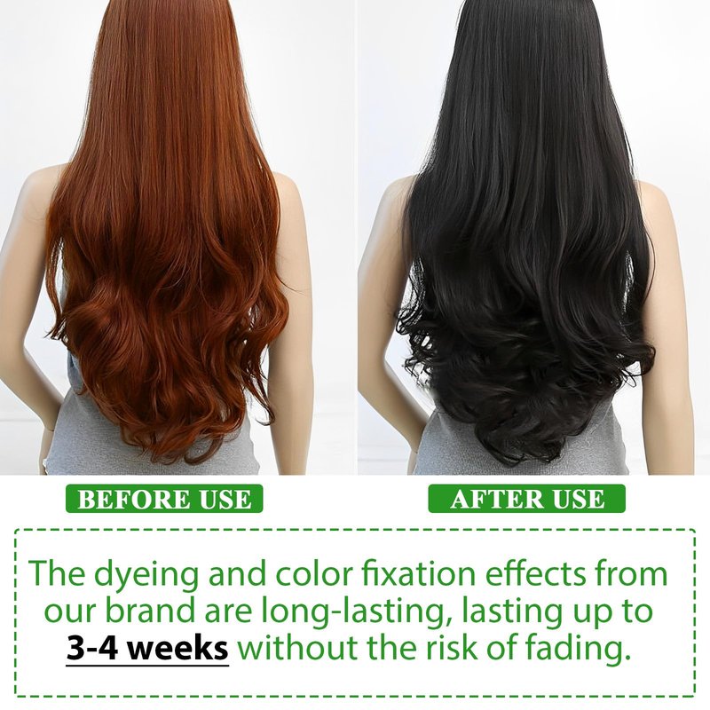ZIXAOK Hair Dye Shampoo (Black) - 3-in-1 Formula with Natural Herbs for Coloring, Nourishing & Shine - Gentle 500ml Shampoo