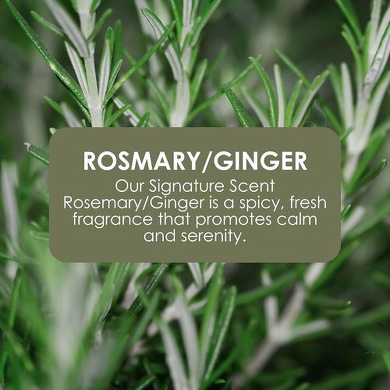 Jean & Len Hand & Body Wash - Rosemary & Ginger Scent | Cleans & Nourishes Skin, 169.07 Fl. Oz.
