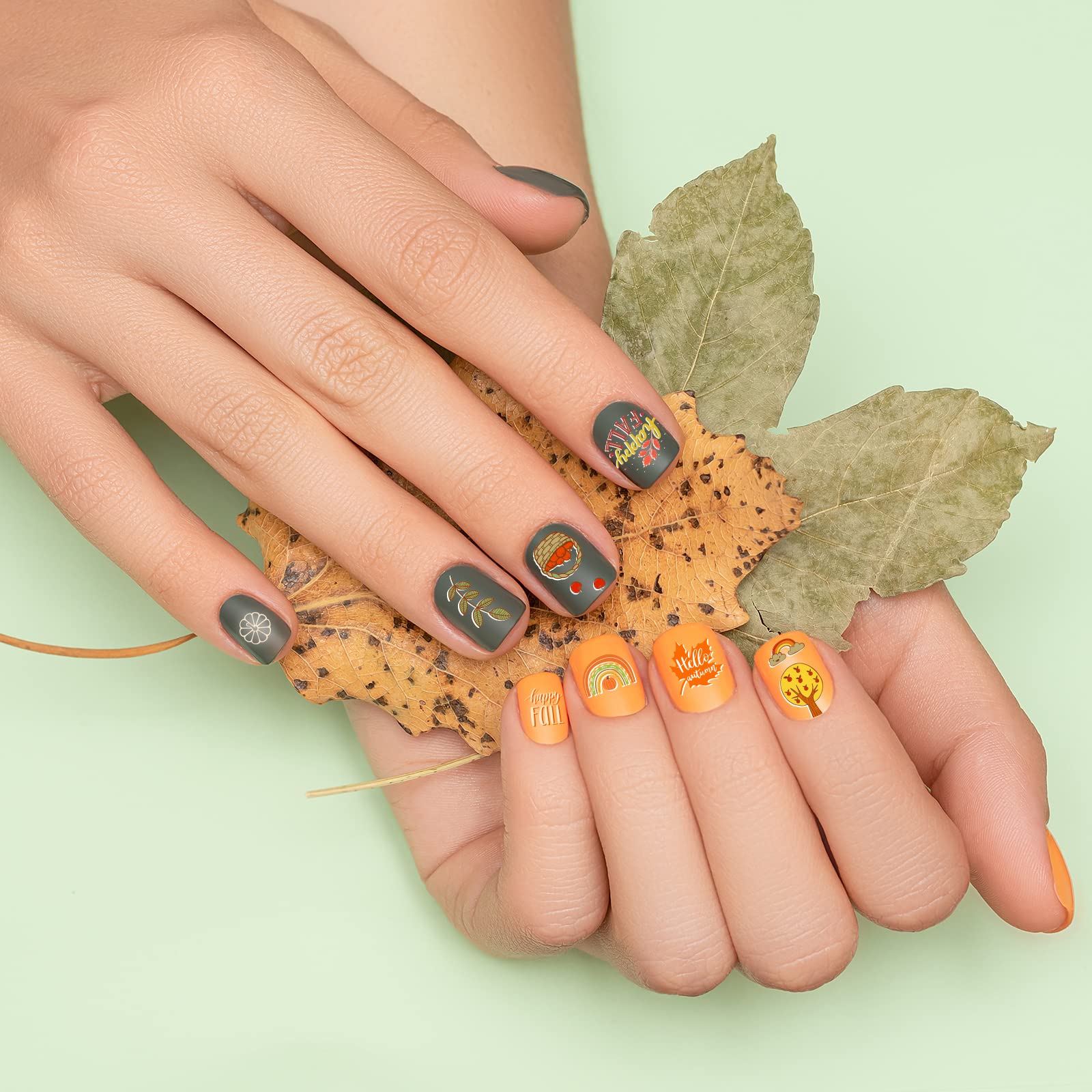 Whaline 6Pcs Fall Thanksgiving Theme Nail Art Stamping Plate Kit Various Pattern Pumpkin Maple Autumn Blessing Collection Checkered Nail Art Plate for Thanksgiving Day DIY Design Print Manicure Salon