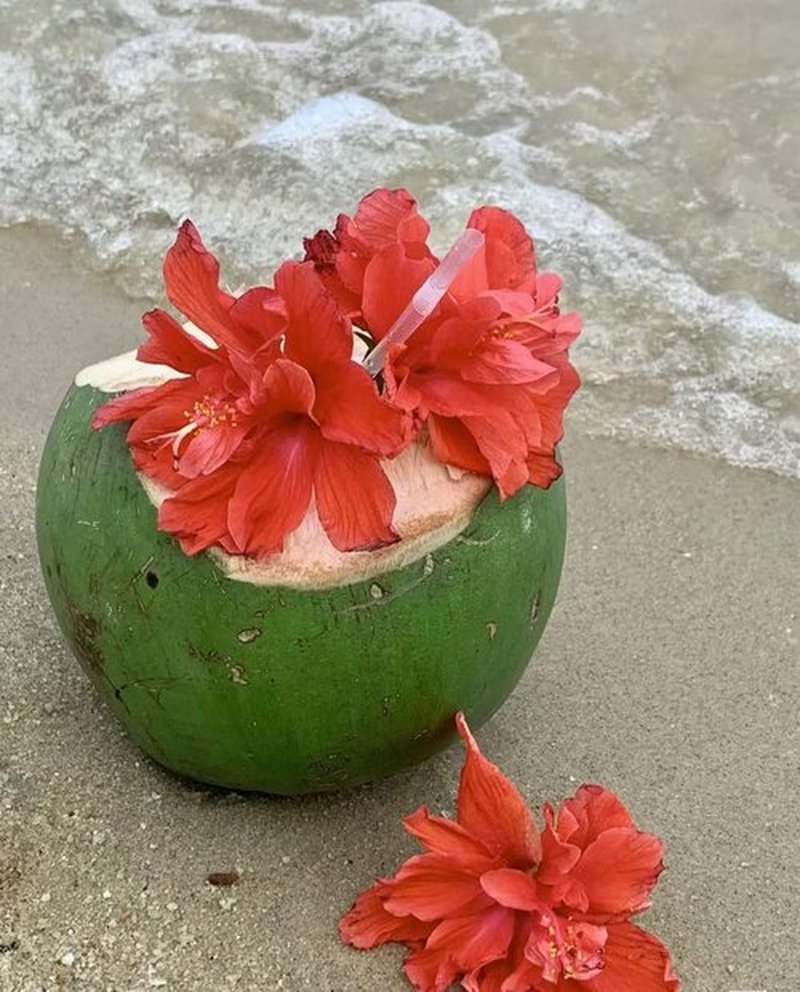 6Pcs Hawaiian Flower Hair Clips,3.5 Inch Plumeria Hibiscus Hair Clip, Hair Clips for Women Bridal Wedding, Flower Hair Accessories Clip for Girls Vacation Beach Party
