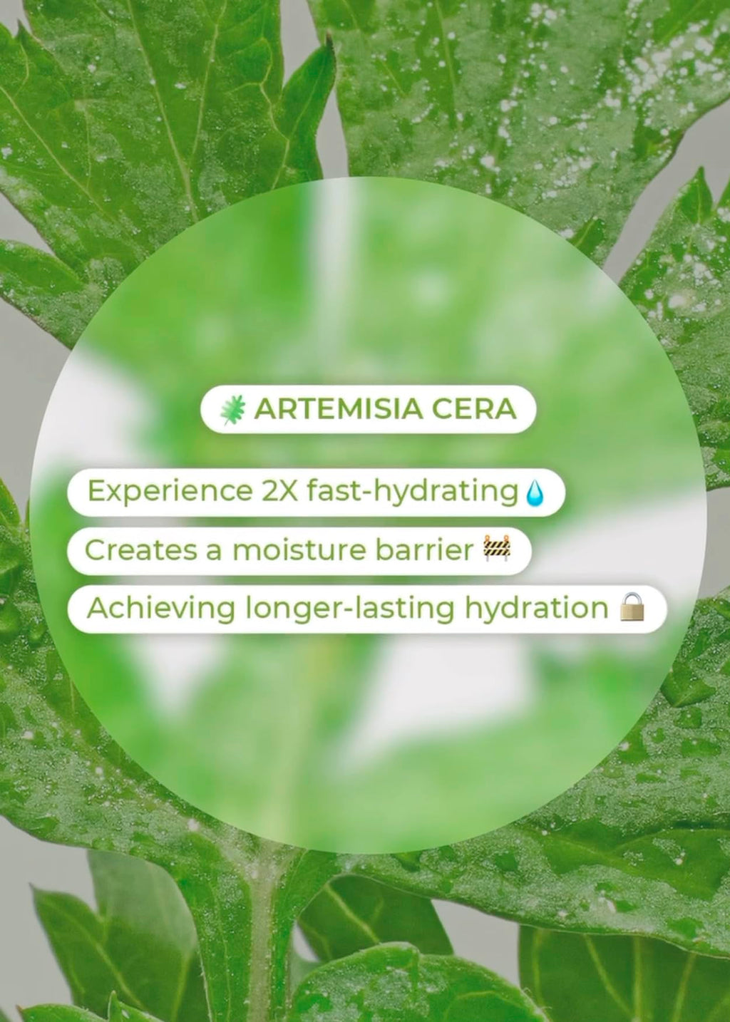BRING GREEN Artemisia Cera Calming Moisture Ph Balance Cleansing Foam | Vegan Foam Cleanser for Exfoliation, Removes Blackheads, Whiteheads, Facial Residue, for Sensitive Irritated Skin 8.45 Fl. Oz.