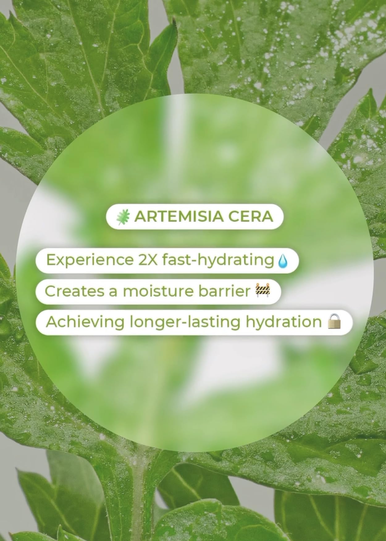 BRING GREEN Artemisia Cera Calming Moisture Ph Balance Cleansing Foam | Vegan Foam Cleanser for Exfoliation, Removes Blackheads, Whiteheads, Facial Residue, for Sensitive Irritated Skin 8.45 Fl. Oz.