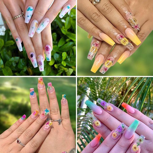 KISSBUTY 36 Colors Dried Flowers & Leaves Nail Art Set, 3D Applique Nail Decoration Sticker, Daisy, White, Pink, White with Yellow, Green