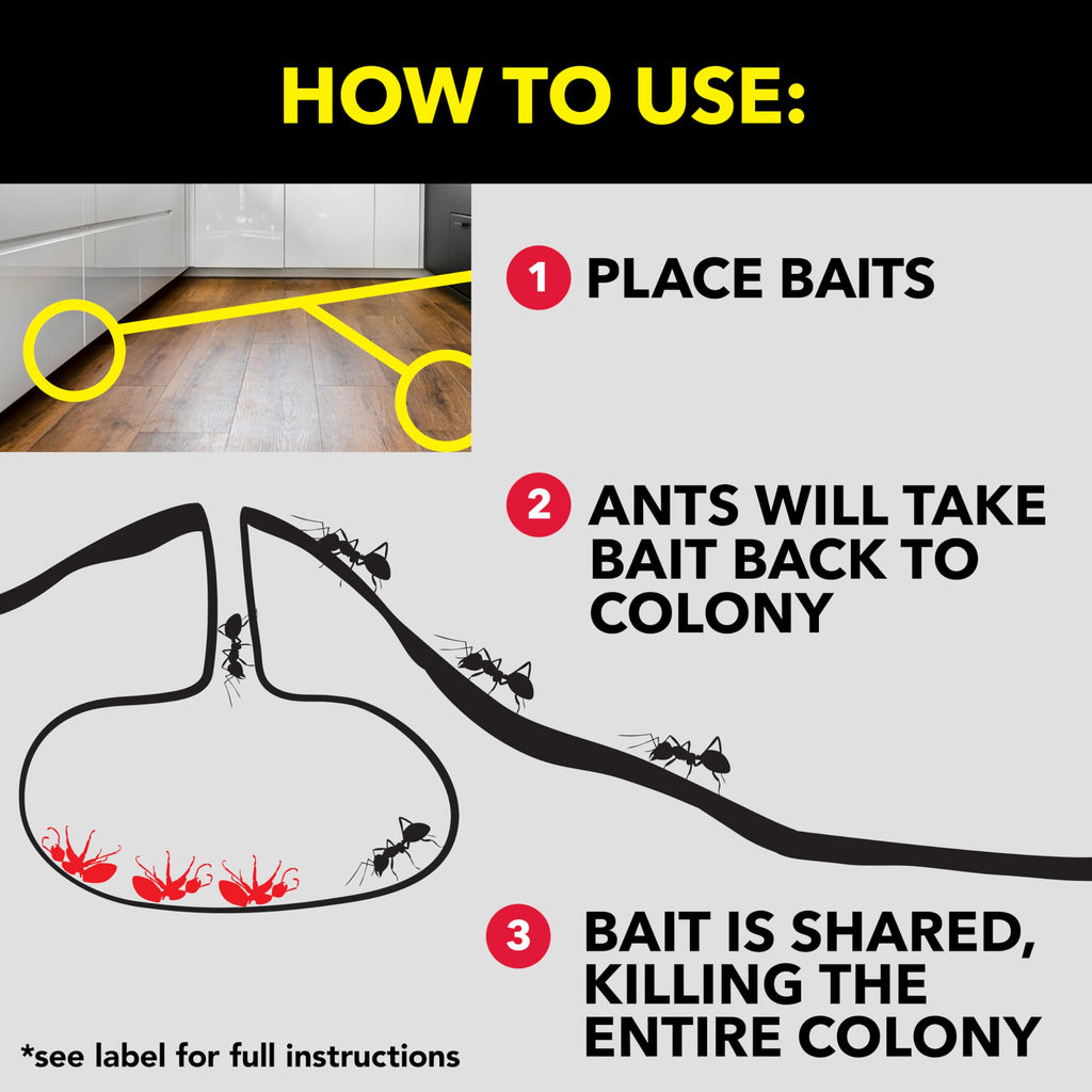 Raid Ant Killer Baits, Child Resistant Bug Killer for Indoor Home Use, 0.24 Oz, 8 Count