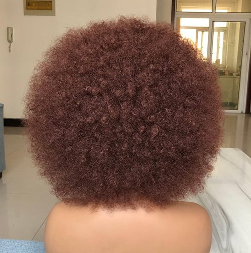 HIHOO Short Afro Wig with Bangs for Black Women Afro Kinky Curly Wig 70s Premium Synthetic Big Afro Wigs(Red Brown)