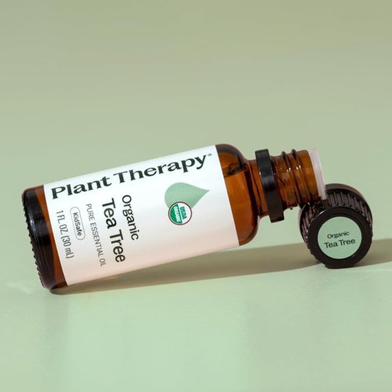 Plant Therapy Organic Tea Tree Oil - 100% Pure & USDA Certified Organic - Therapeutic Grade 30 mL (1 oz)