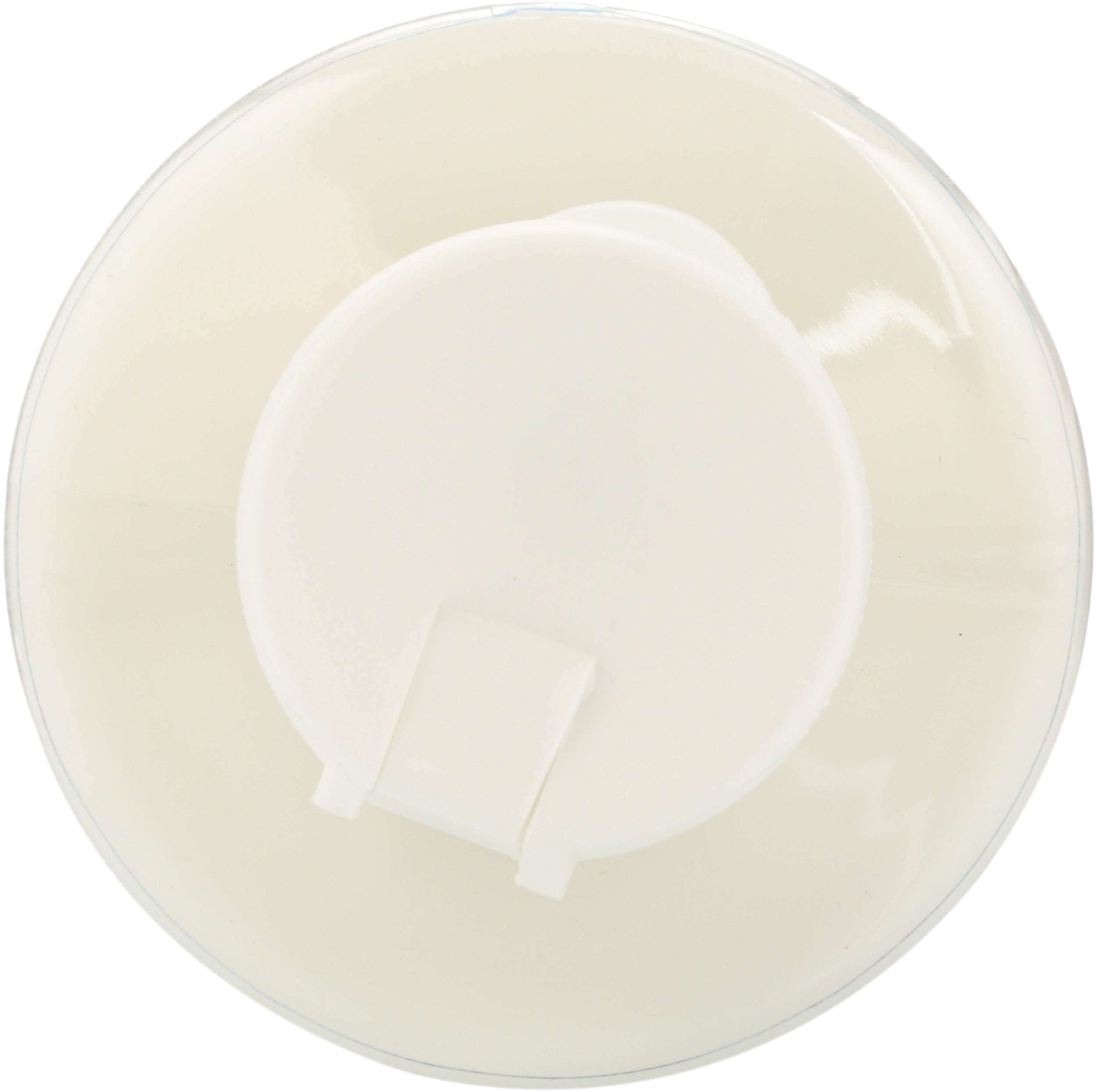 Mountain Ocean Coconut Skin Trip Moisturizer, 8 Fluid Ounce (5454)