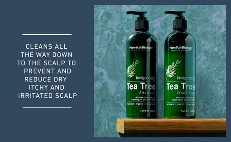 New York Biology Tea Tree Shampoo – Deep Cleanser – Relief for Dandruff and Dry Itchy Scalp – Therapeutic Grade - Helps Promote Hair Growth – 16.9 fl Oz