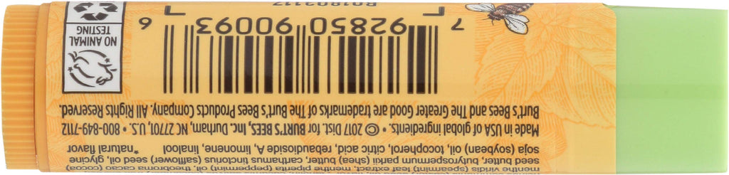 Burt's Bees Cucumber Mint Moisturizing Lip Balm for Women, Orange, 0.15 Oz