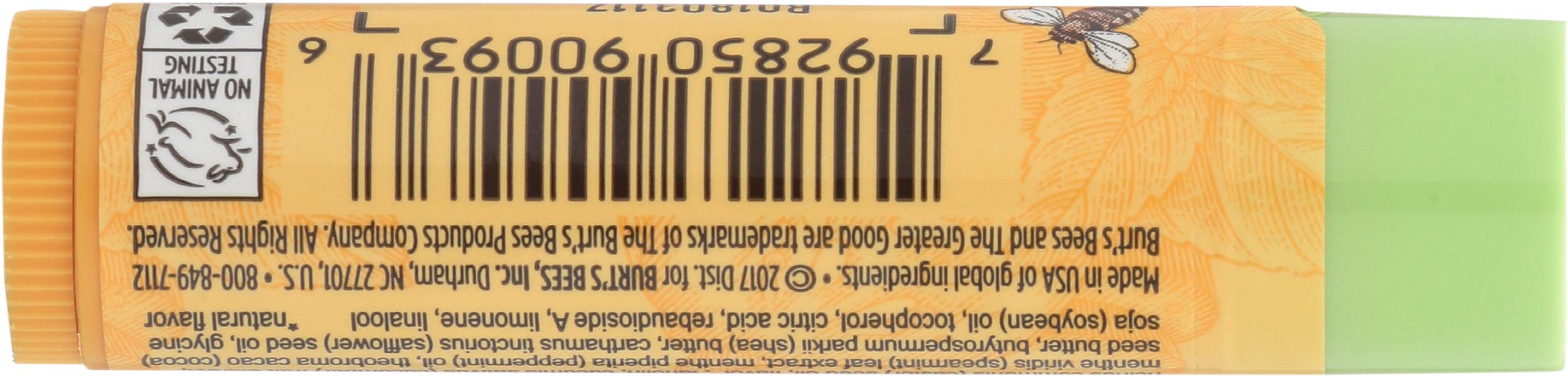 Burt's Bees Cucumber Mint Moisturizing Lip Balm for Women, Orange, 0.15 Oz