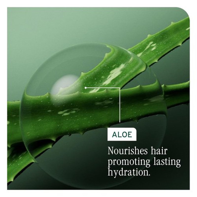 Biolage Hydra Source Deep Treatment Mask - Nourishing & Smoothing for Dry Hair | Aloe Vera & Hyaluronic Acid Infusion