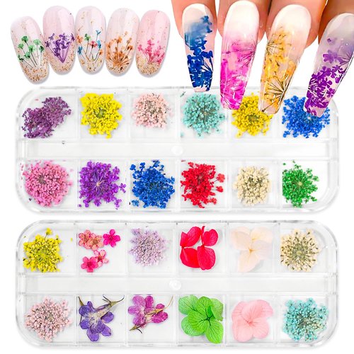SILPECWEE 2 Boxes Dried Flowers for Nails Mini Real Nail Flowers 3D Dried Flowers Nail Stickers Nail Decor Manicure Design Flower Decorations for Makeup DIY Craft Accessories