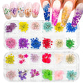 SILPECWEE 2 Boxes Dried Flowers for Nails Mini Real Nail Flowers 3D Dried Flowers Nail Stickers Nail Decor Manicure Design Flower Decorations for Makeup DIY Craft Accessories