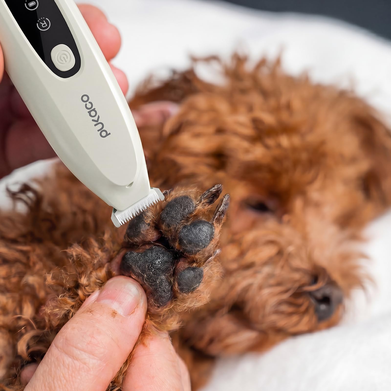 PUKACO 2026 Upgraded Dog Paw Trimmer with LED Light, Low Noise Small Pet Hair Trimmer 18mm Wide Curved Blade, 35dB Cordless Waterproof Pet Paw Grooming Clippers for Dogs, Cats, Paws, Ears, Face, Rump