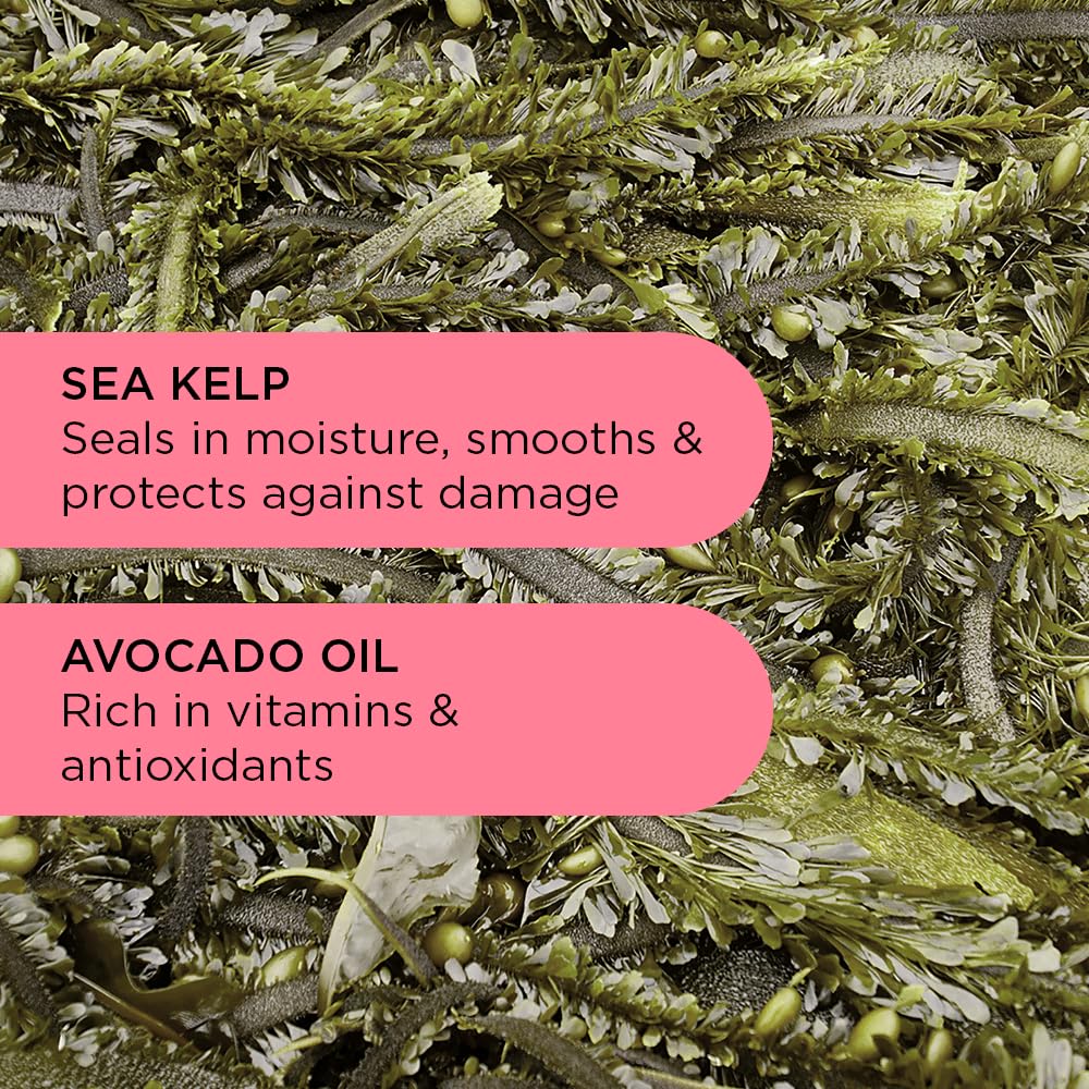 Noughty Wave Hello Curl Defining Shampoo - 97% Natural, Vitamin-Rich Formula for Curly and Wavy Hair, Sulphate-Free Vegan Haircare, 250ml